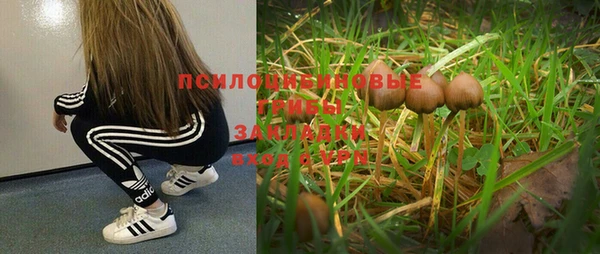 МДПВ Аркадак